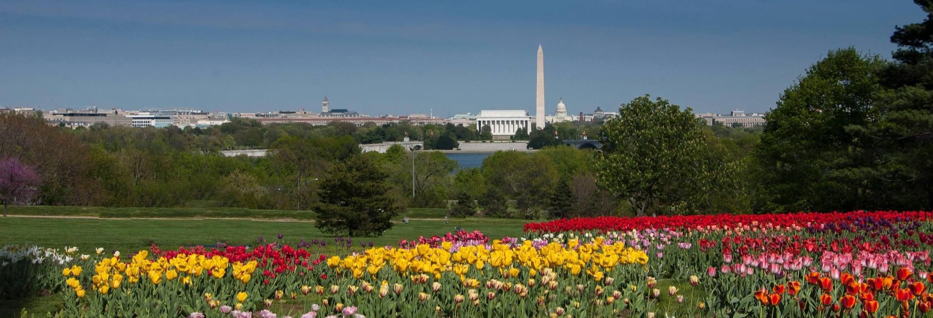 Matt Allen, Realtor at ΓEA⅃ Brokerage in Alexandria Va. & Washington DC in Alexandria, VA (2)