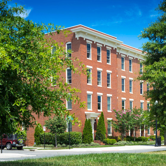 Matt Allen, Realtor at ΓEA⅃ Brokerage in Alexandria Va. & Washington DC in Alexandria, VA (3)