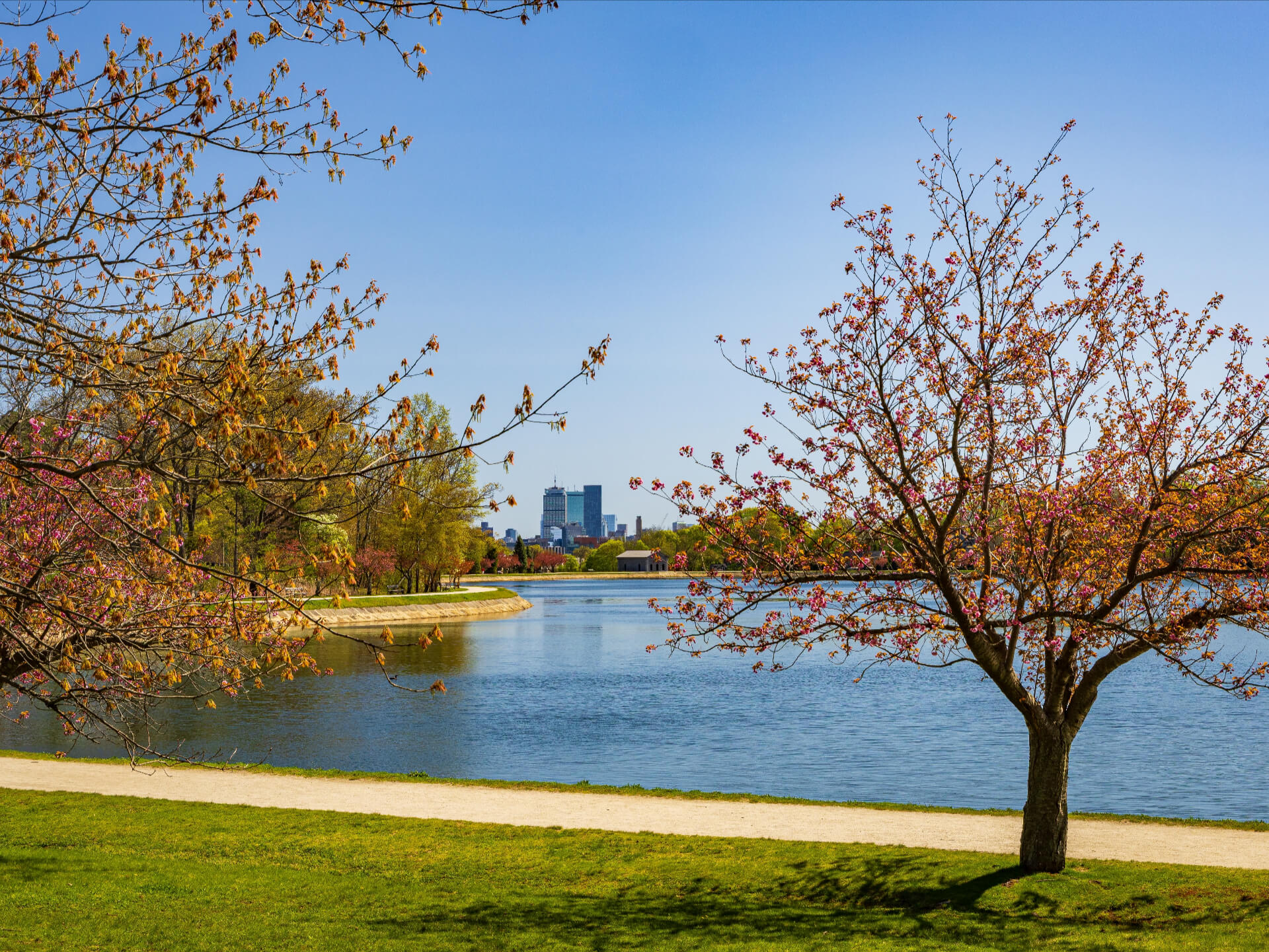 Cassie Richardson, Pursuit Realty, LLC in Indianapolis, IN (2)
