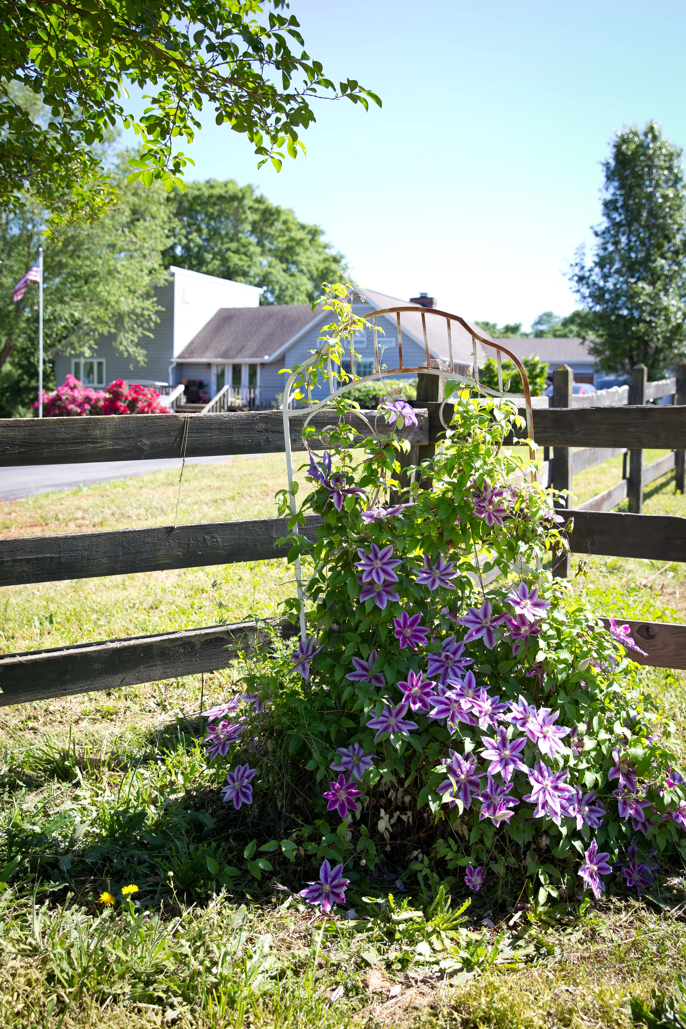Ole Blue Truck Farm, LLC in Gray Court, SC
