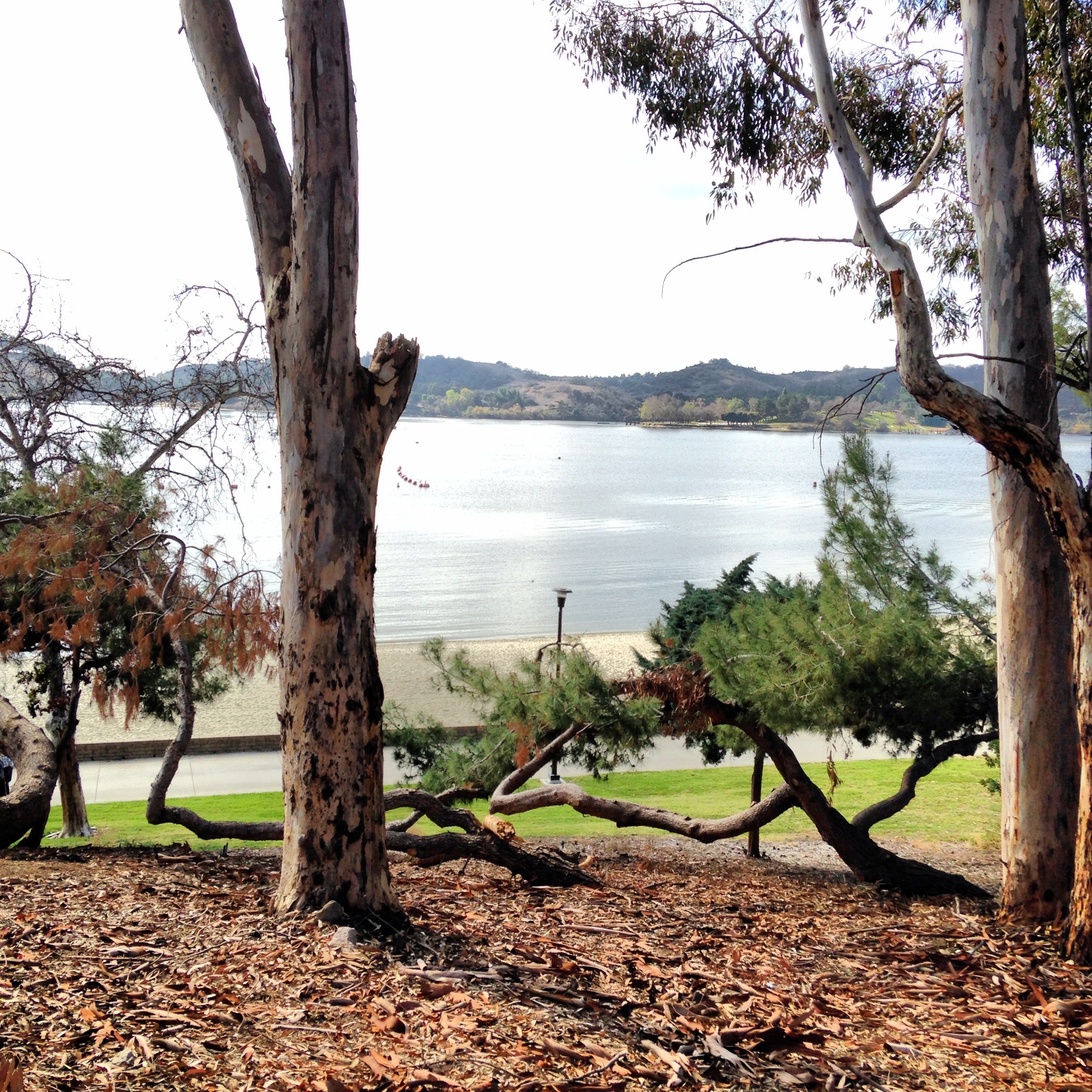 Tri-County Realty Group in La Verne, CA (5)