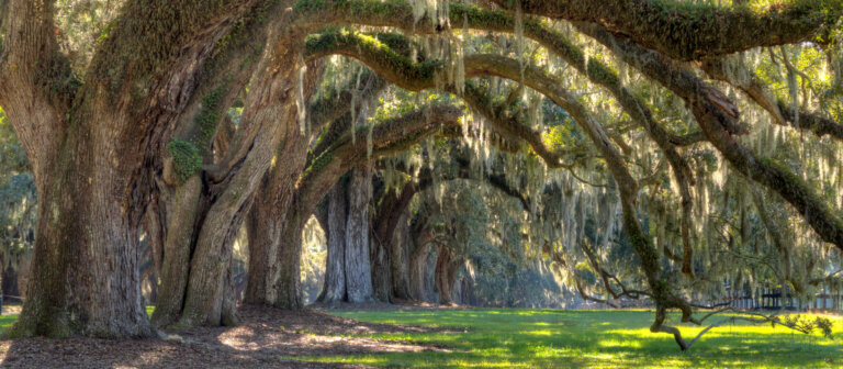 Smith Law LLC in Bluffton, SC (5)
