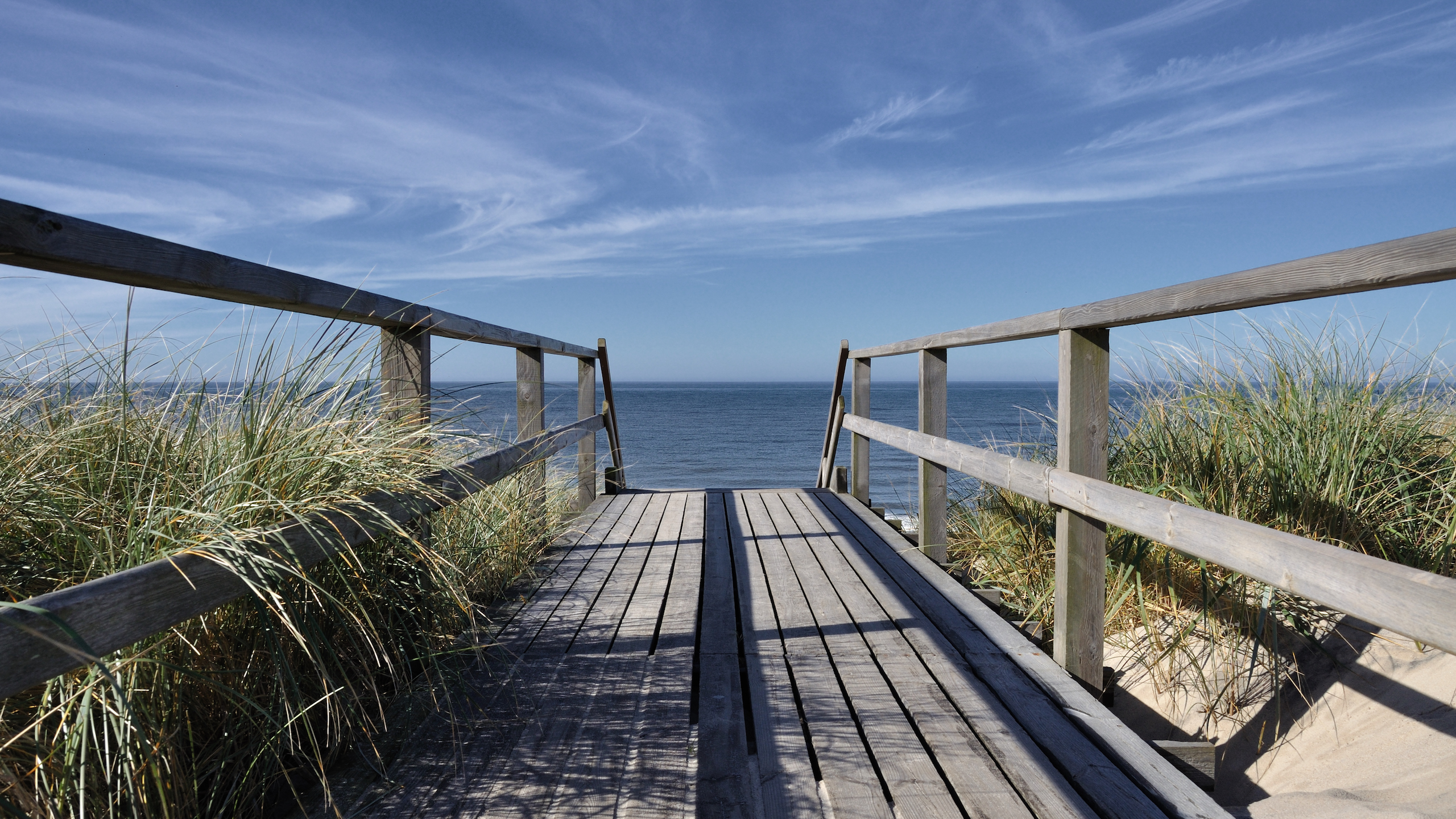 Realty ONE Group Dockside - Conway in Conway, SC