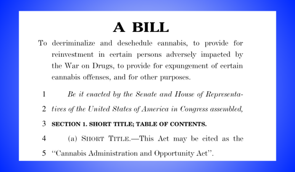 Law Office of Lauren Vazquez, Cannabis Attorney at Law in Oakland, CA (6)