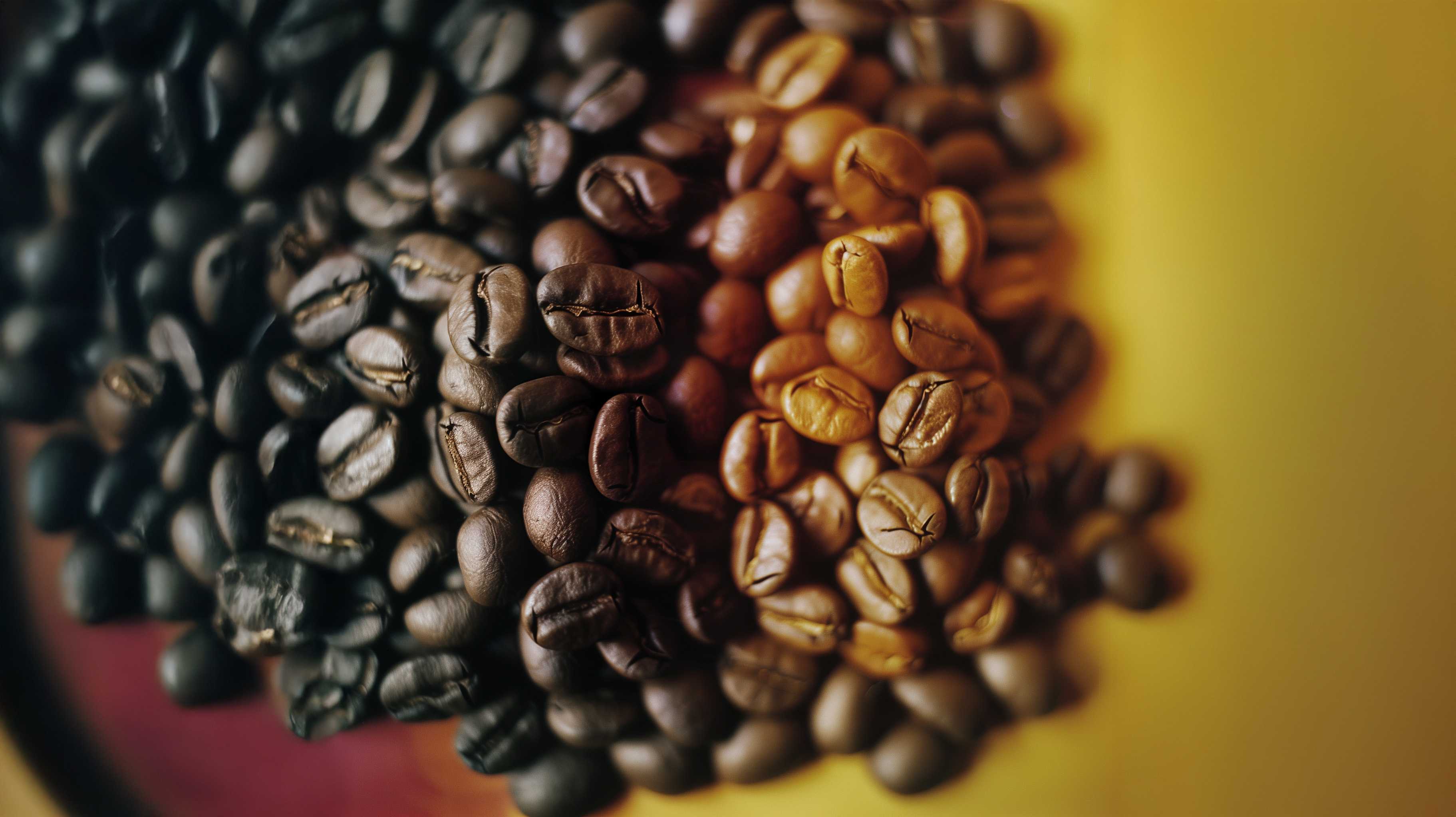 River Moon Coffee Roasting Company™ in River Falls, WI (4)