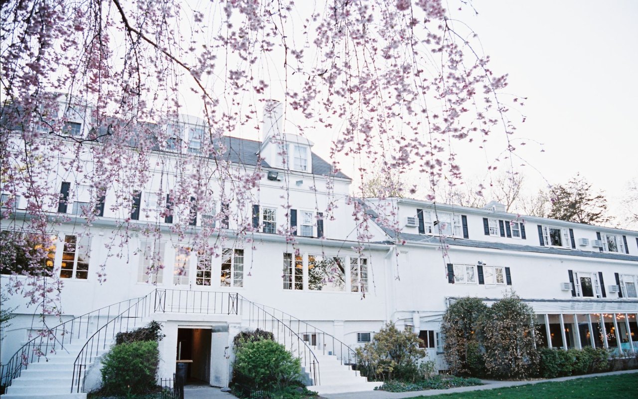 Roseanna Tedone Scarsdale | Westchester | Greenwich Real Estate Agent | Houlihan Lawrence in Scarsdale, NY (5)