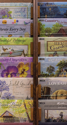 Davis Mercantile in Shipshewana, IN (6)