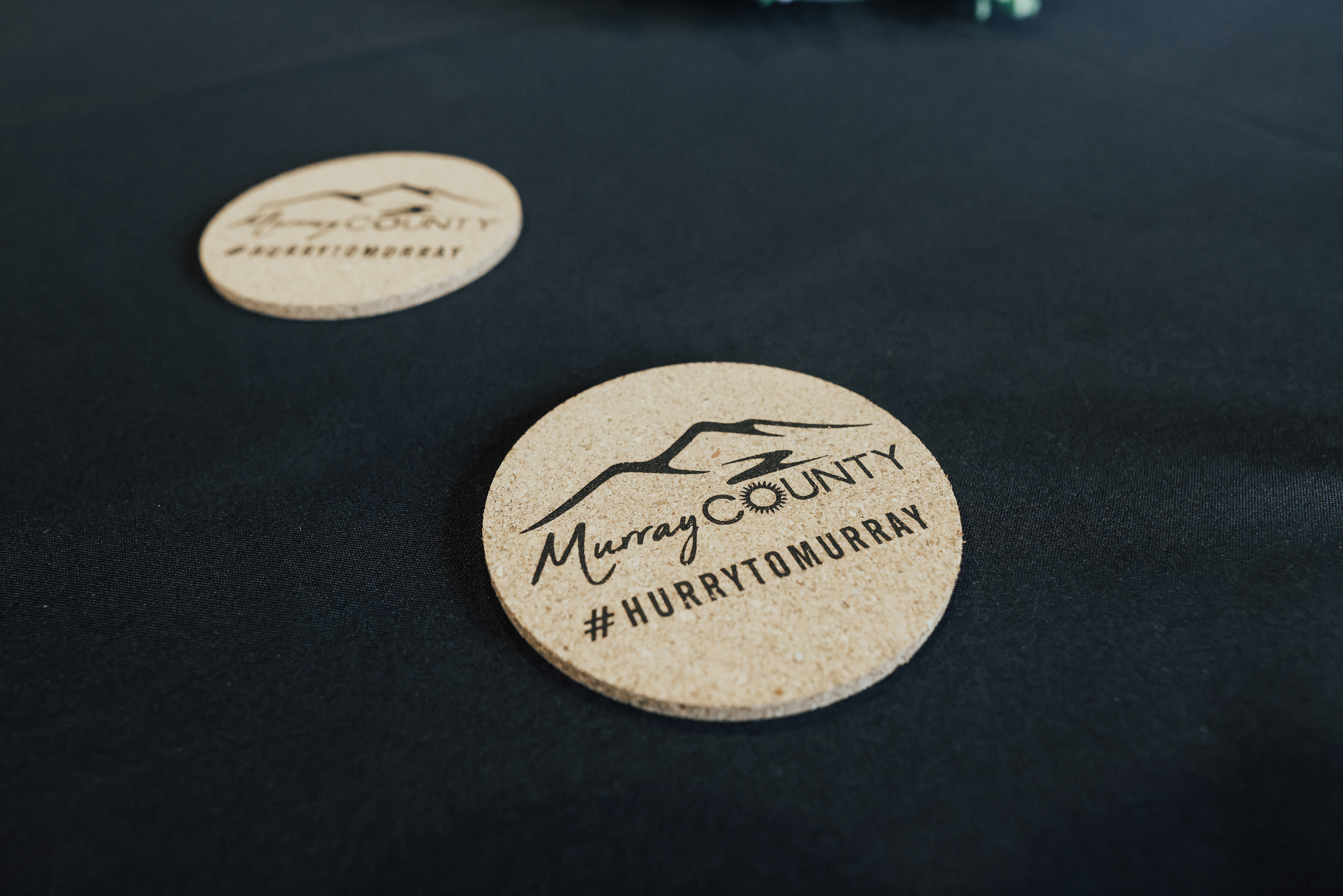 Murray County Chamber of Commerce and Industrial Development Authority in Chatsworth, GA (3)