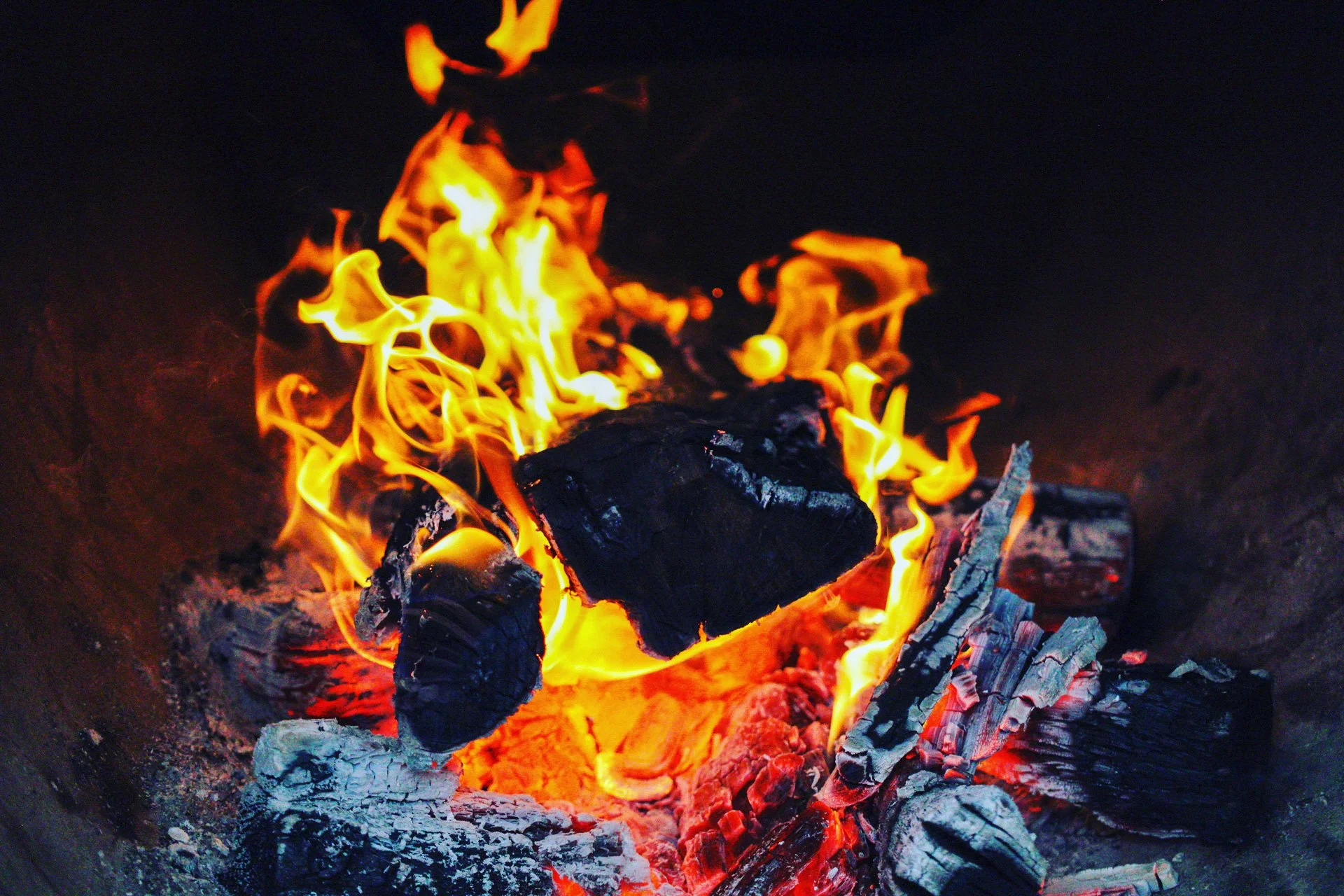 Slow Fire BBQ in Savannah, GA (4)