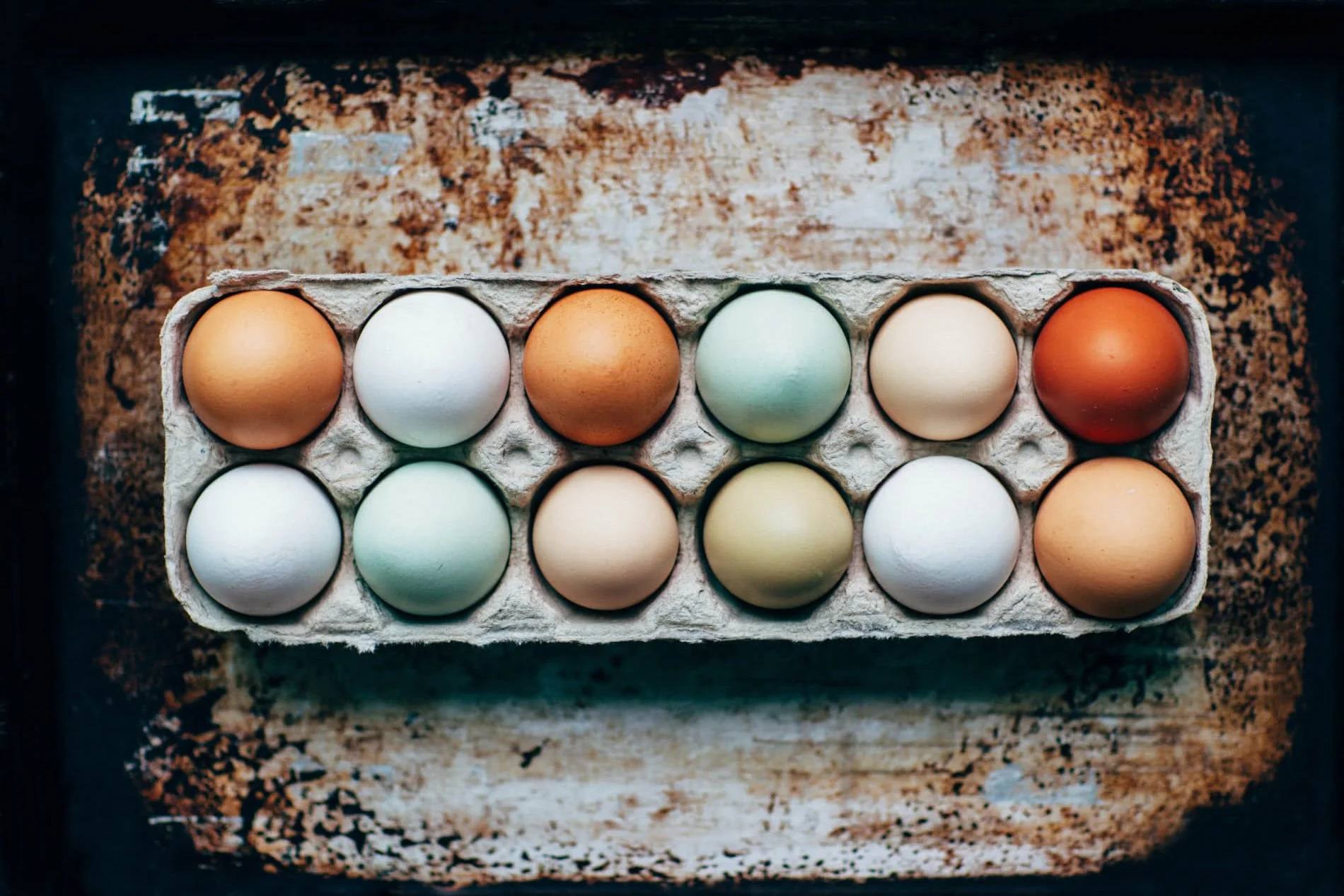 Slow Fire BBQ in Savannah, GA (6)