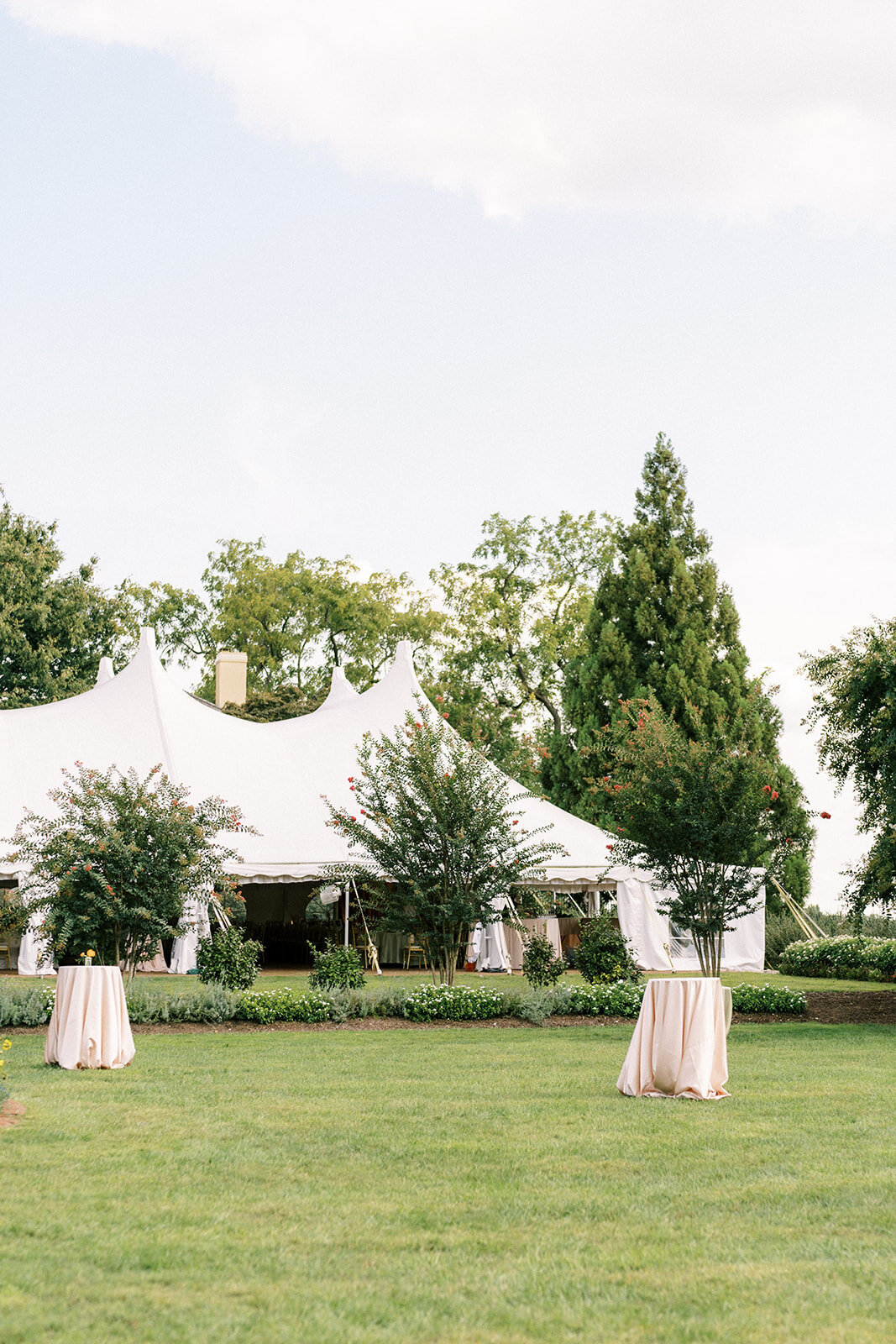 Dantus & Co. Events, LLC in Triangle, VA (3)