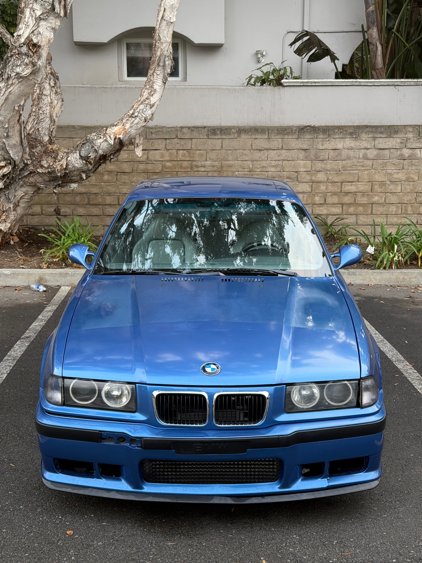 M4 Detailing in Punta Gorda, FL (3)