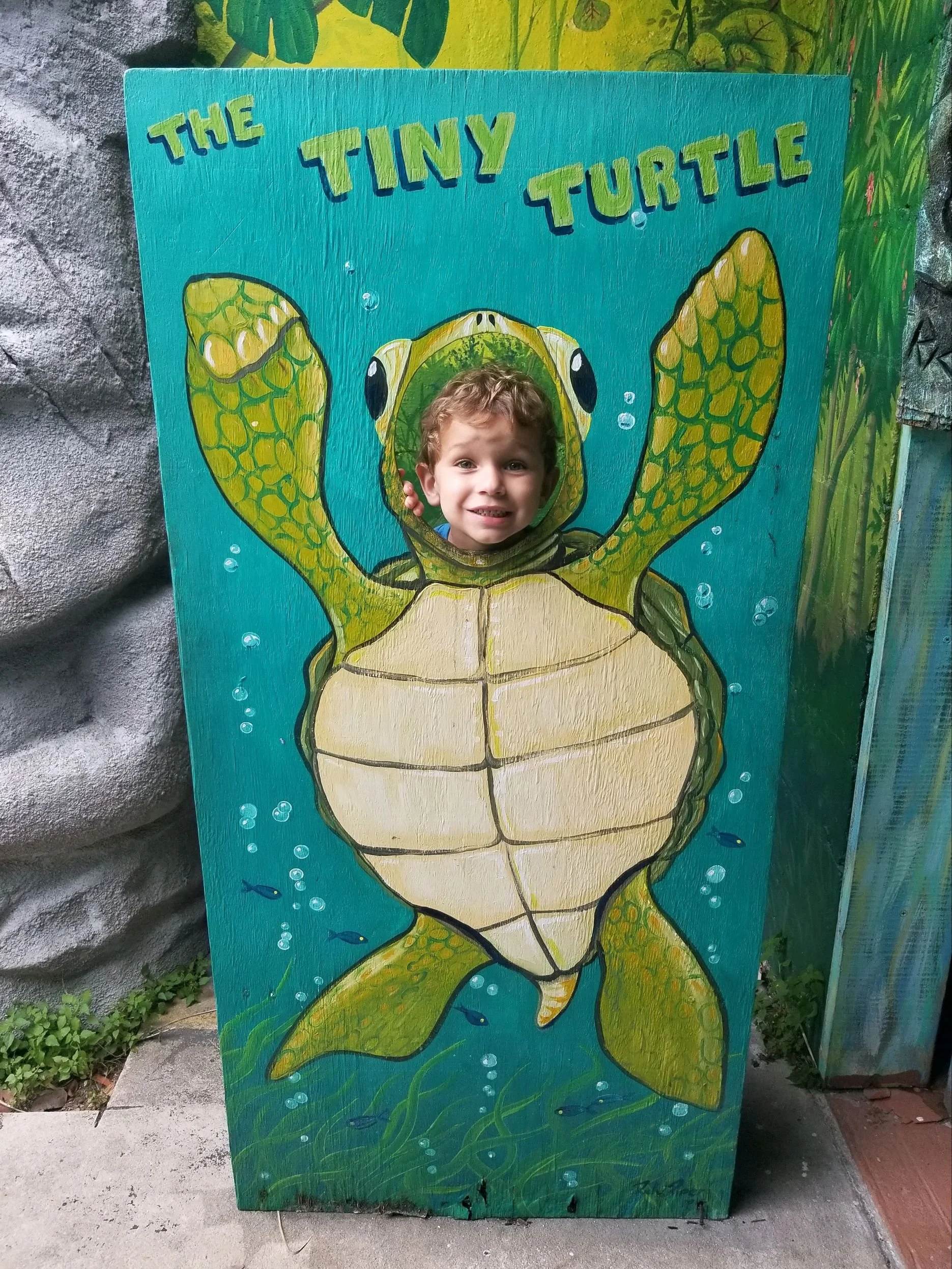 The Tiny Turtle in Cocoa Beach, FL (3)