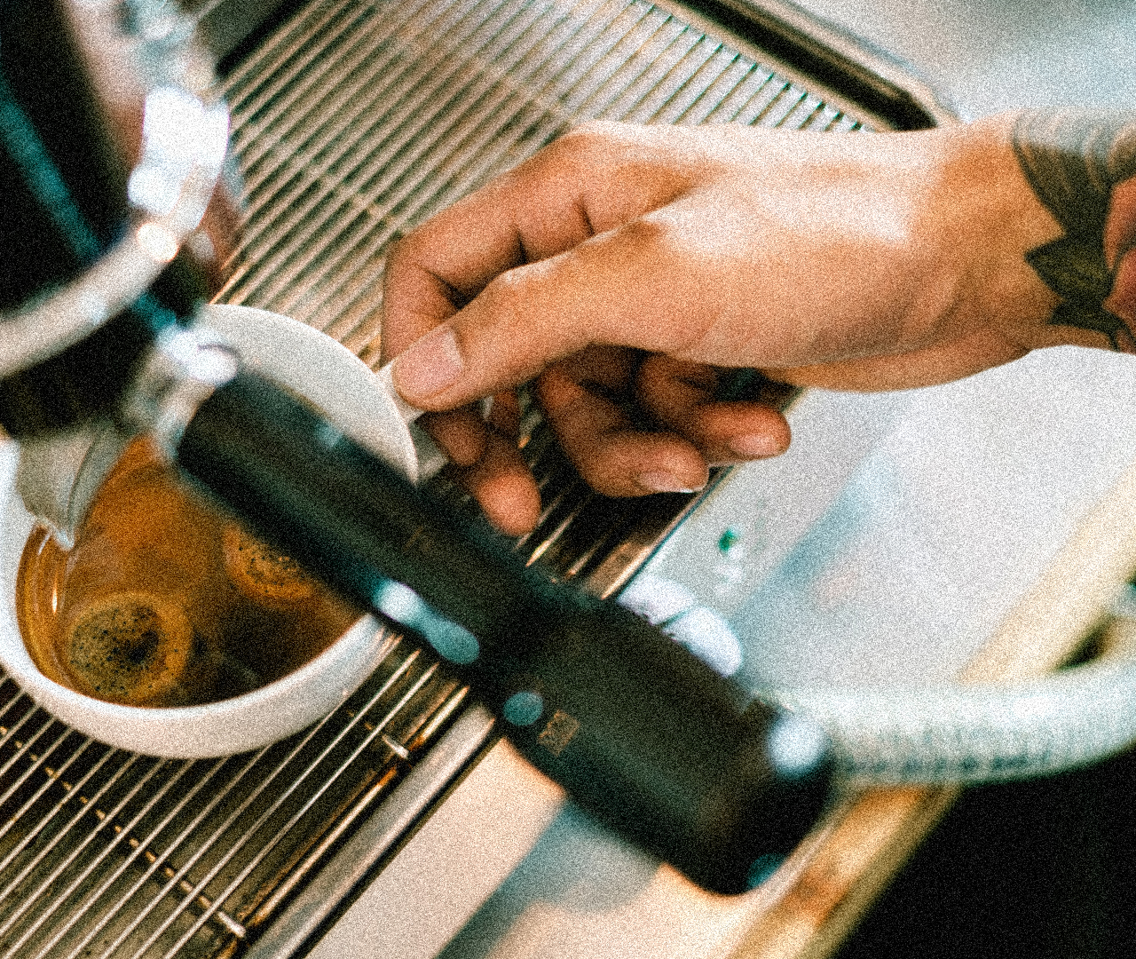 Look Alive Coffee in St. Petersburg, FL