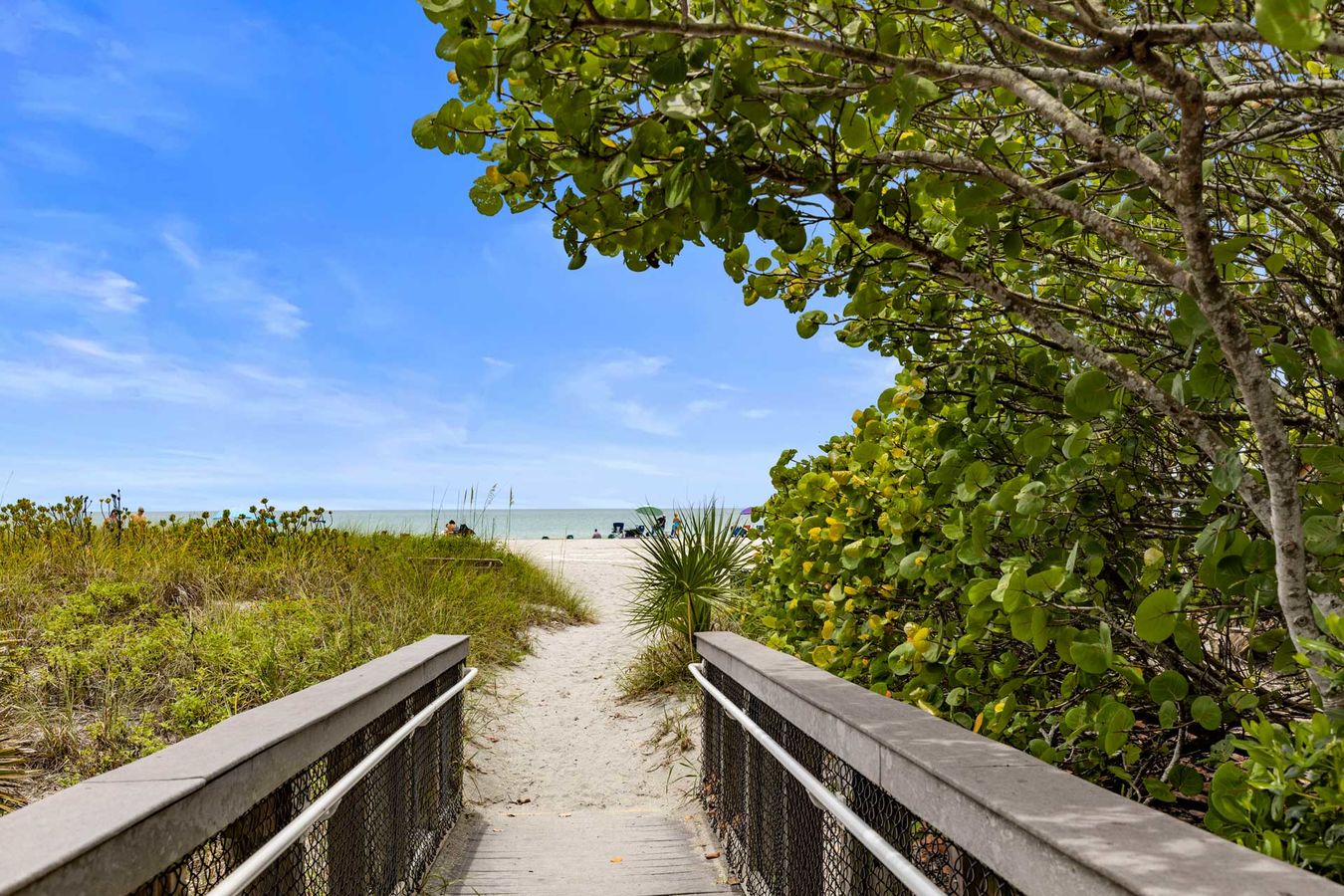 DEB SCOTT: Author, Coach, REALTOR, Speaker, Consultant in Venice, FL (3)