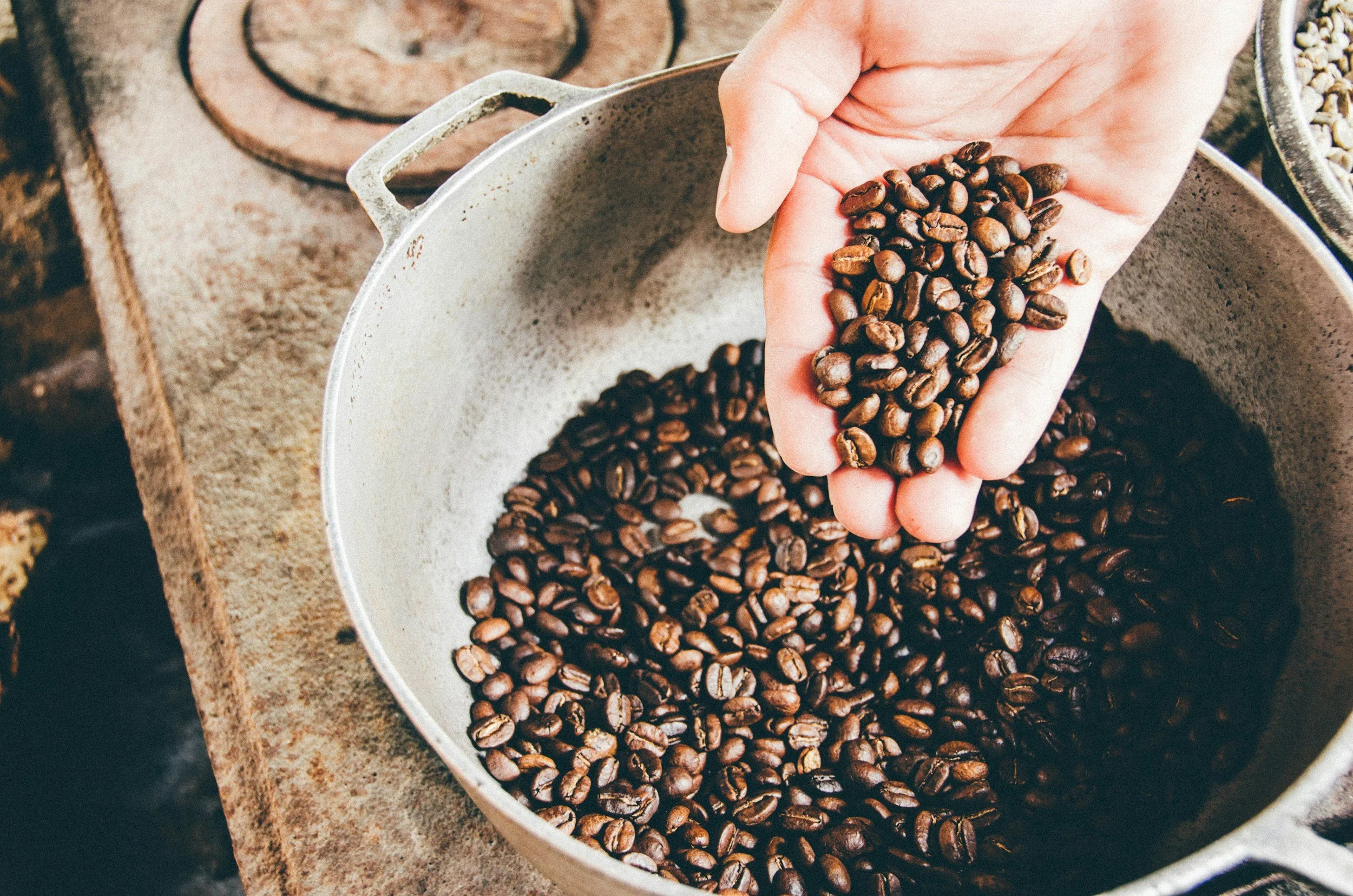 The Wild Roaster in Deerfield, IL (2)