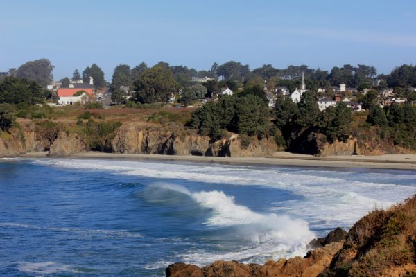 Stephanie Berry - Century 21 Fort Bragg Realty in Fort Bragg, CA (3)