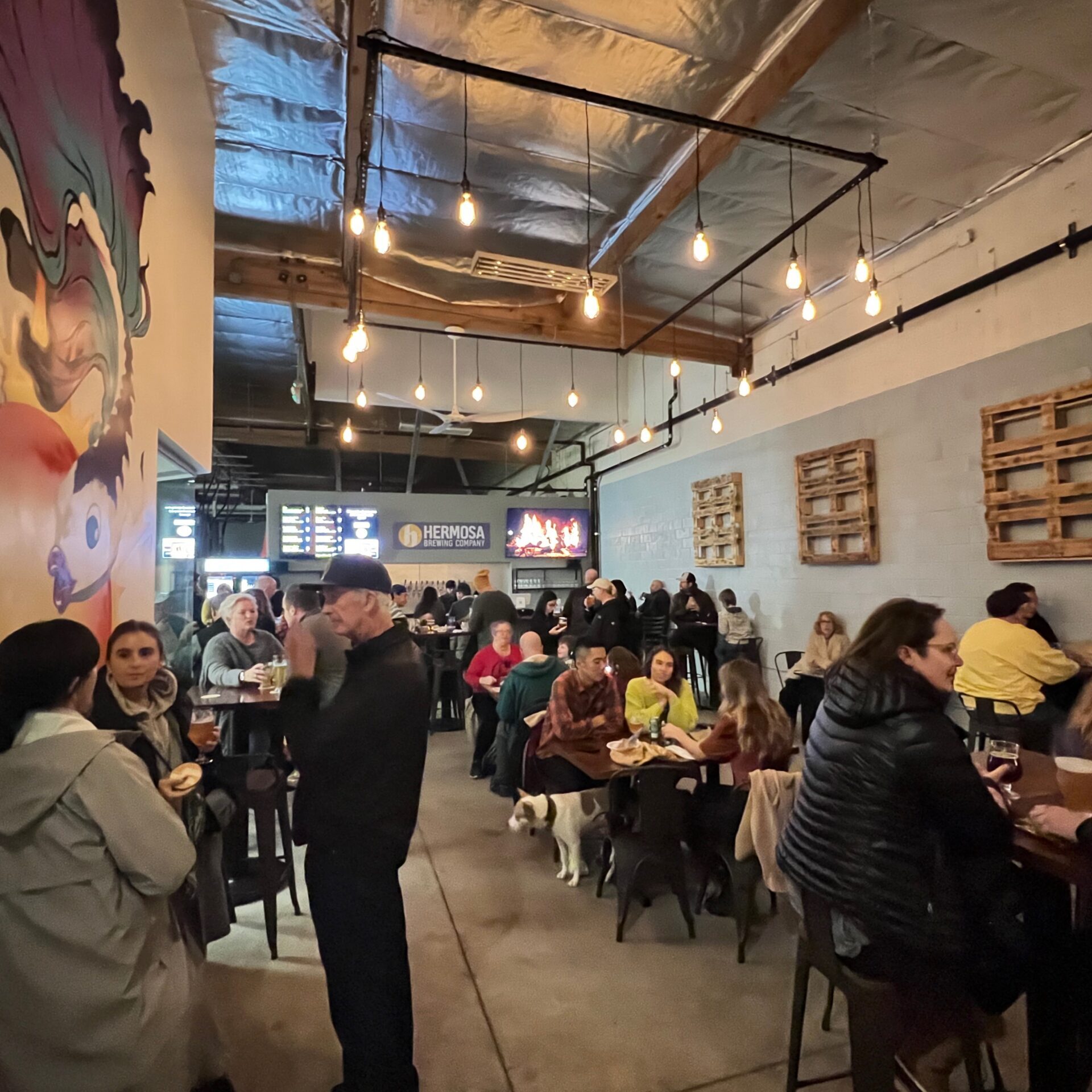 Hermosa Brewing Company in Hermosa Beach, CA (5)