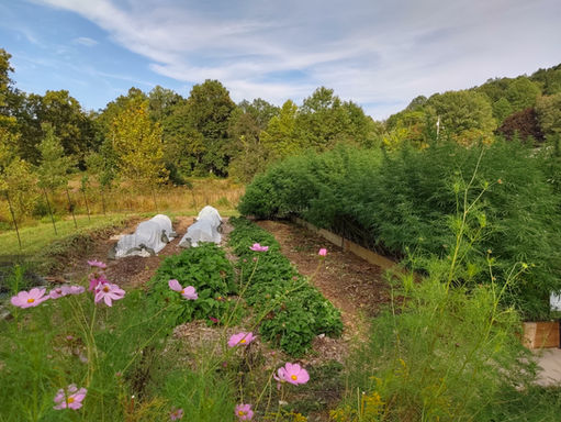 Off the Grid in Sperryville, VA (4)