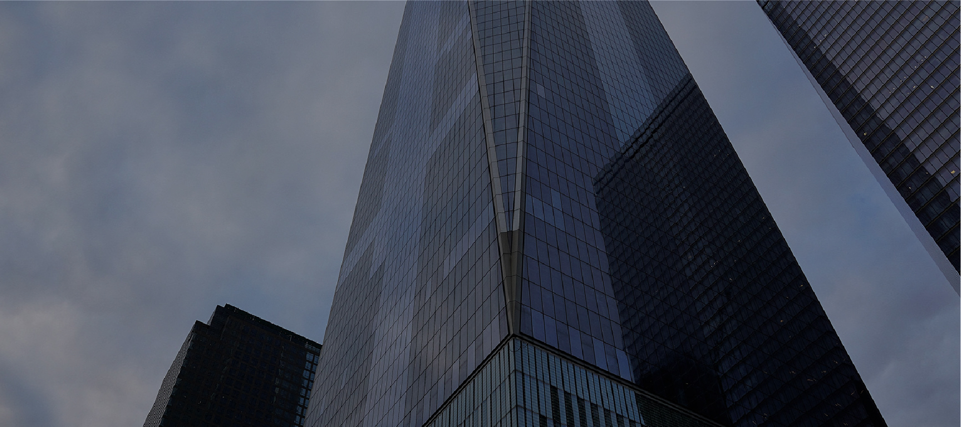 Barrows Levy PLLC in Garden City, NY
