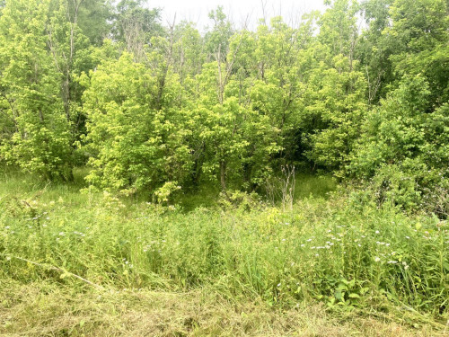 Collins Realty & Auctions LLC in Athens, OH
