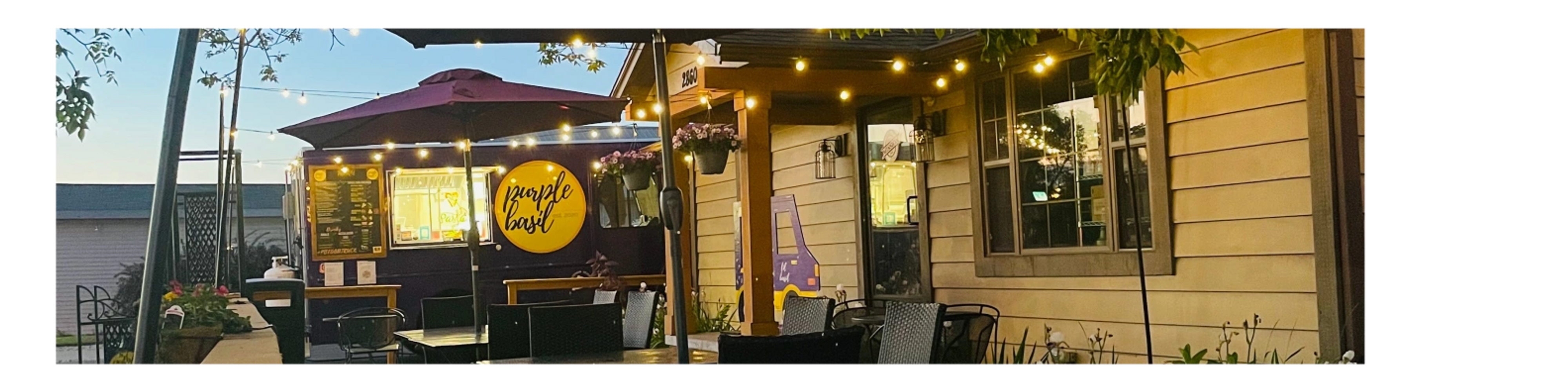 Purple Basil in Plover, WI