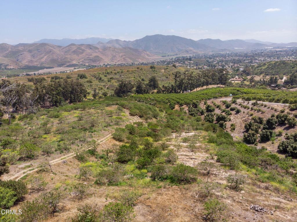 Rick Pena Real Estate Group in Camarillo, CA (3)