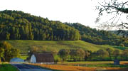 Midwest Realty Co in Osseo, WI (4)