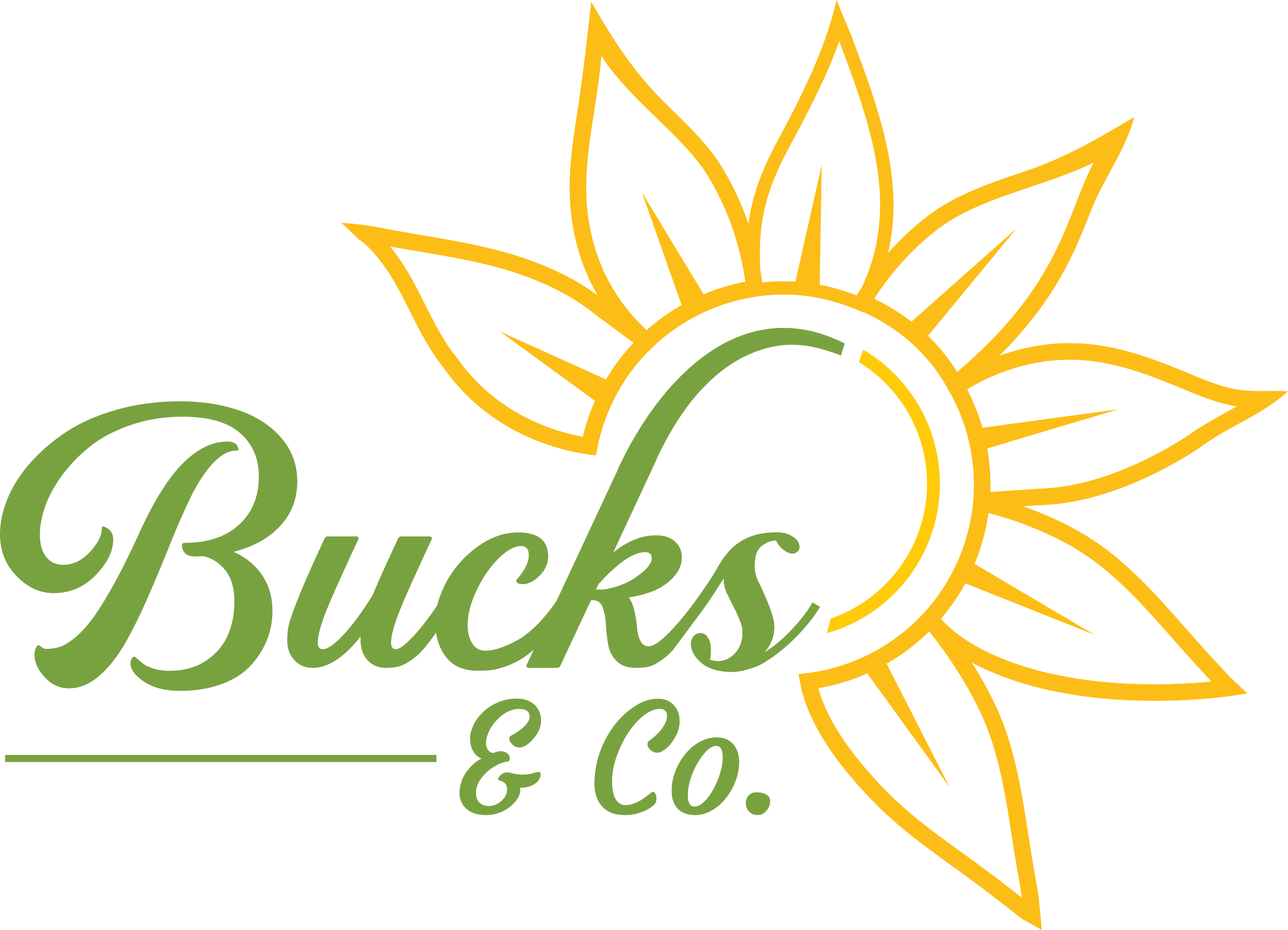 Bucks & Co. in Dublin, PA (5)