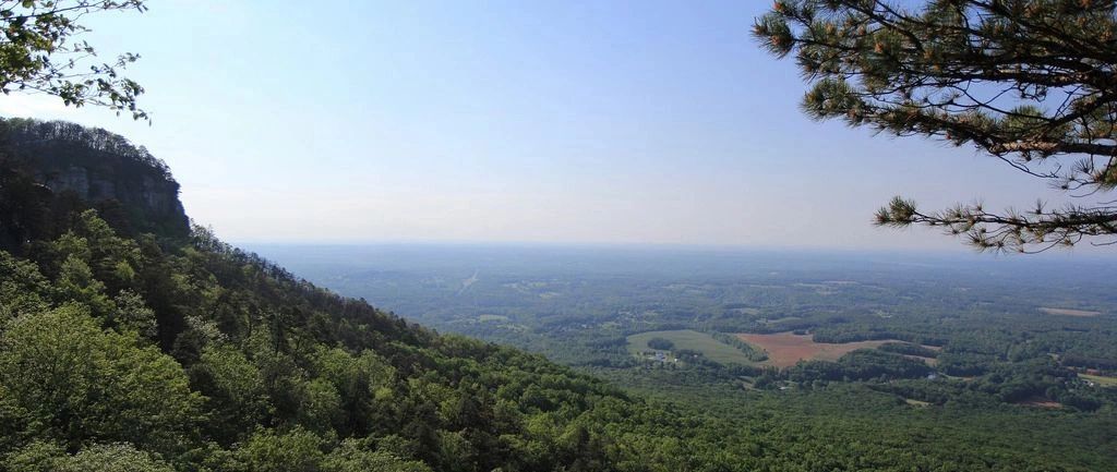 Land Pro Real Estate, Inc. in Pilot Mountain, NC (2)