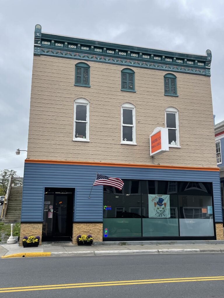 Ollie Cat Cafe in Luray, VA (3)