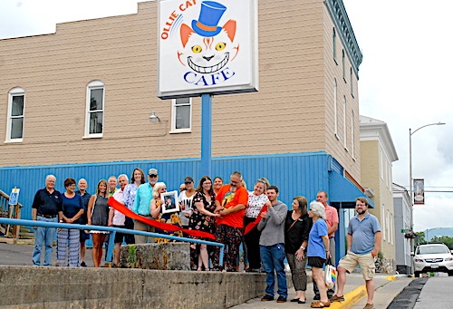 Ollie Cat Cafe in Luray, VA (4)