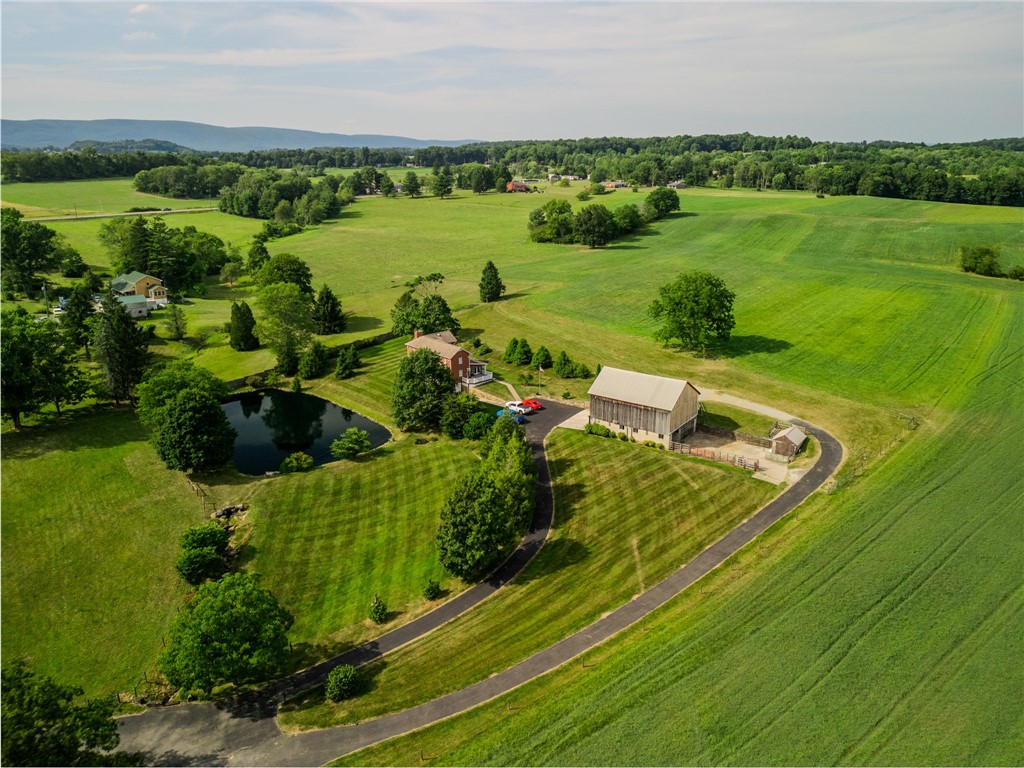 Rachel Mazzie, Coldwell Banker Realty, Realtor in Pittsburgh, PA (4)