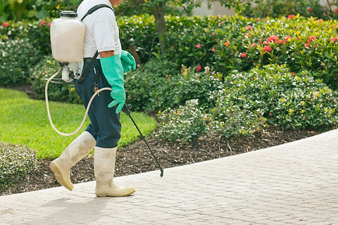 Belin Superior Lawn service LLC in Hartsville, SC (2)