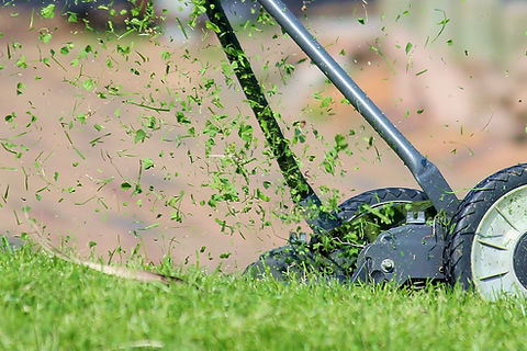 Belin Superior Lawn service LLC in Hartsville, SC (3)