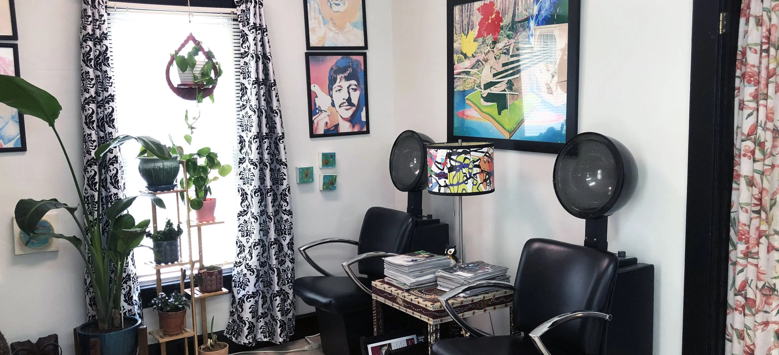 The Electric Owl: Evansville's Hair Studio in Evansville, IN (2)