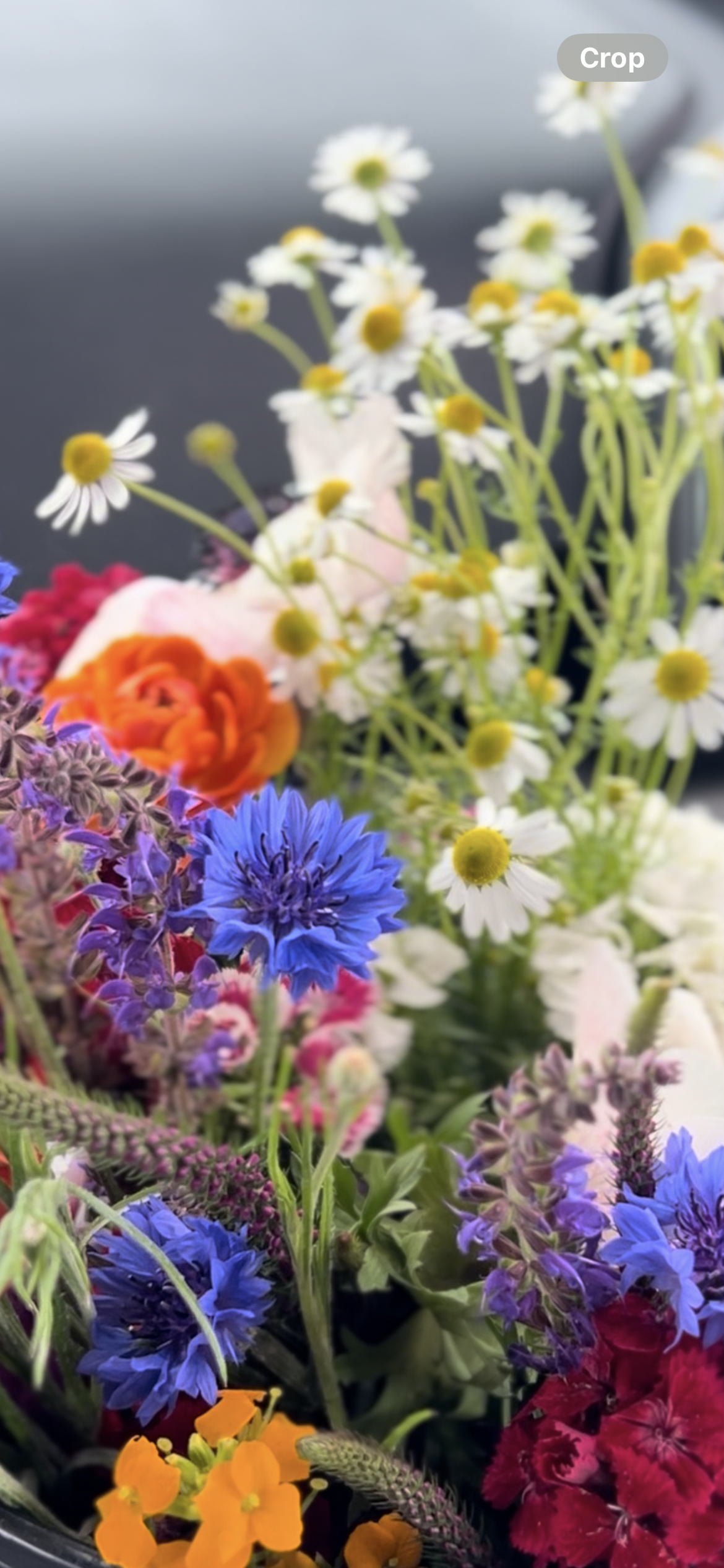 Black Sheep Bloomery LLC in Buckhannon, WV