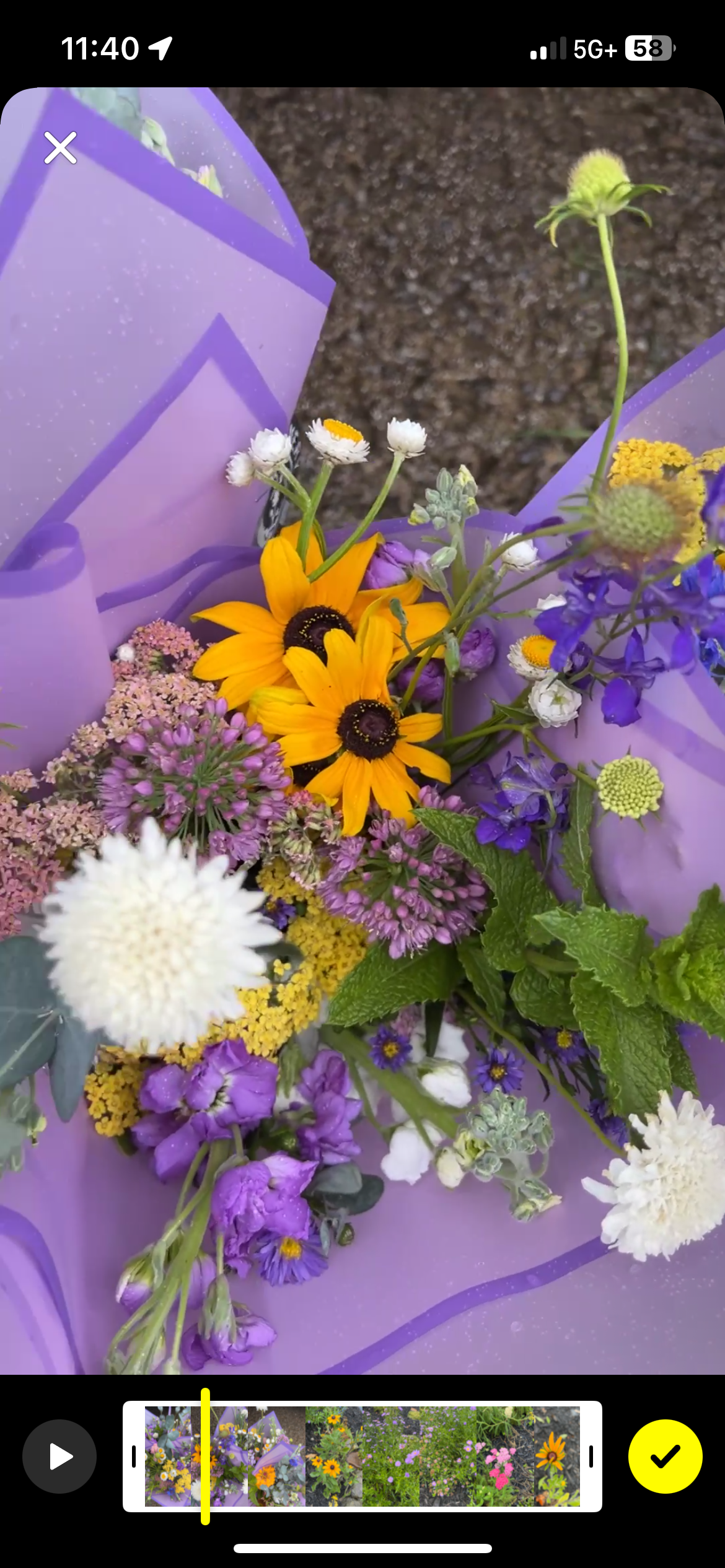 Black Sheep Bloomery LLC in Buckhannon, WV (2)