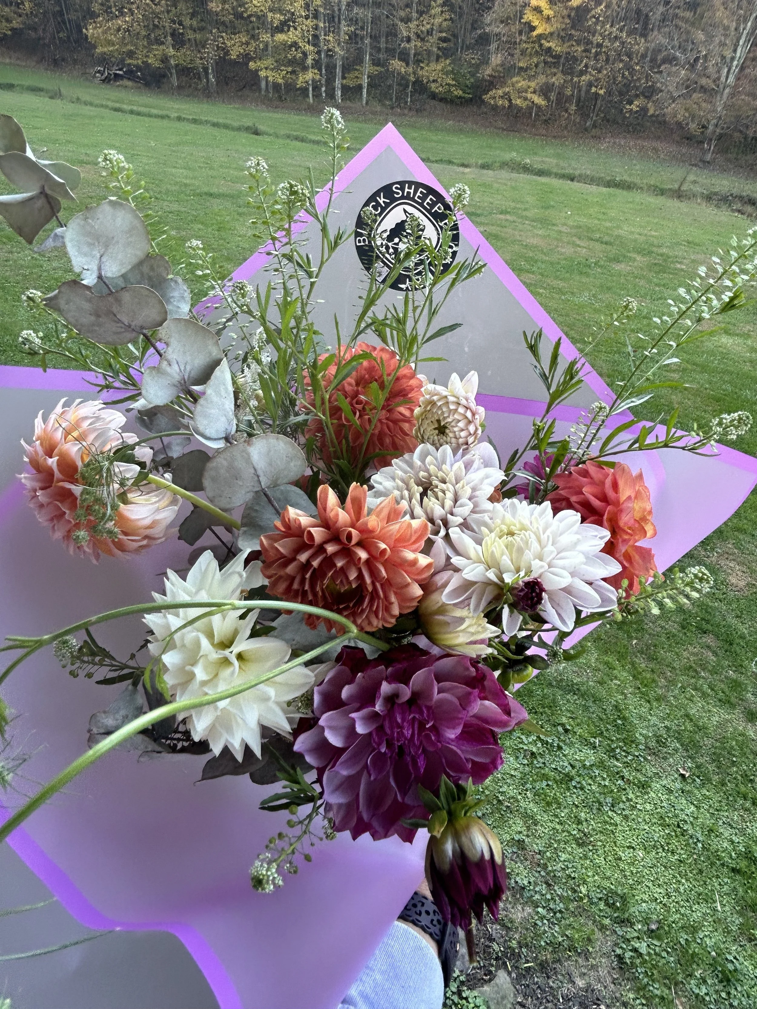 Black Sheep Bloomery LLC in Buckhannon, WV (3)