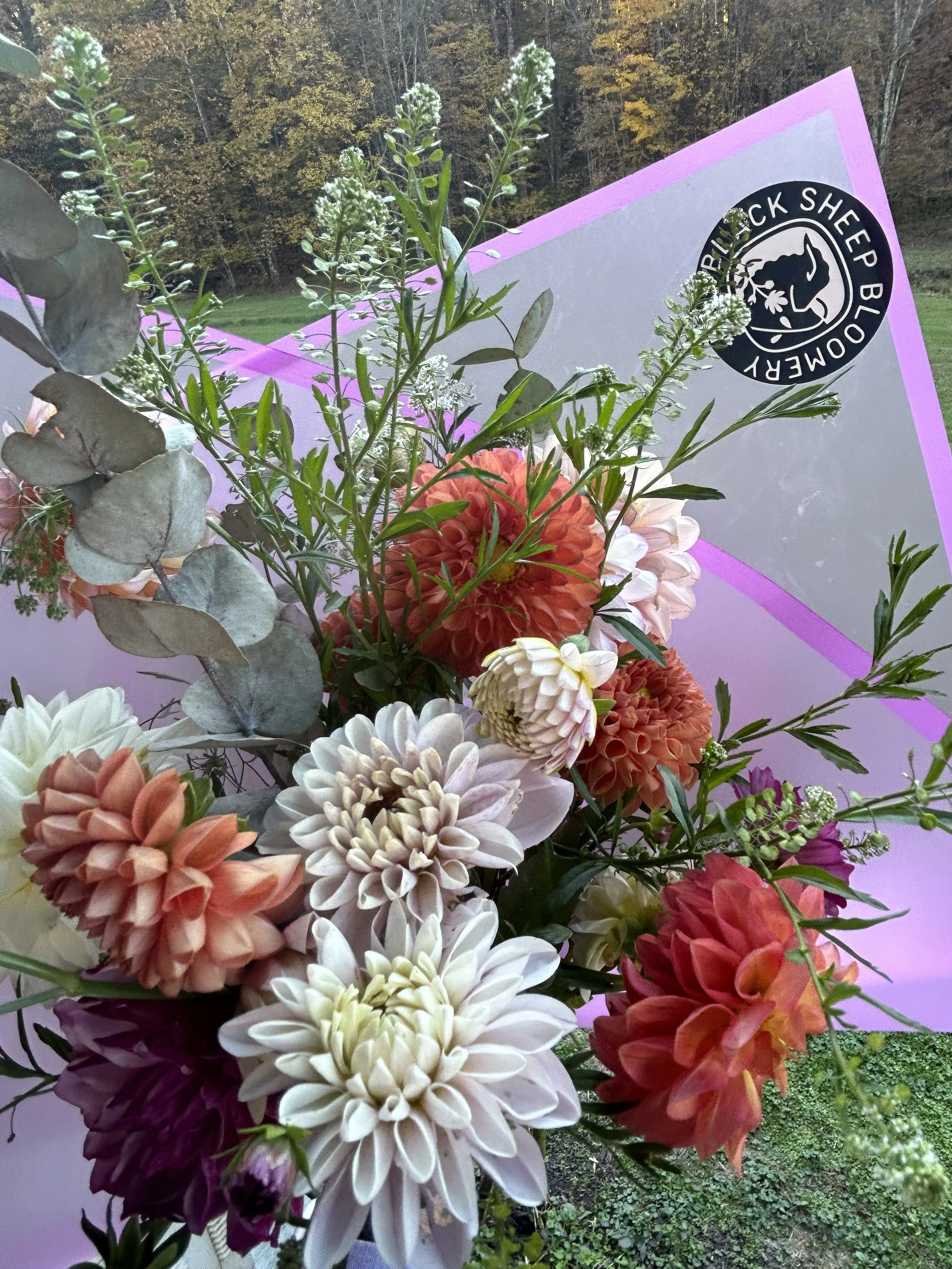Black Sheep Bloomery LLC in Buckhannon, WV (5)