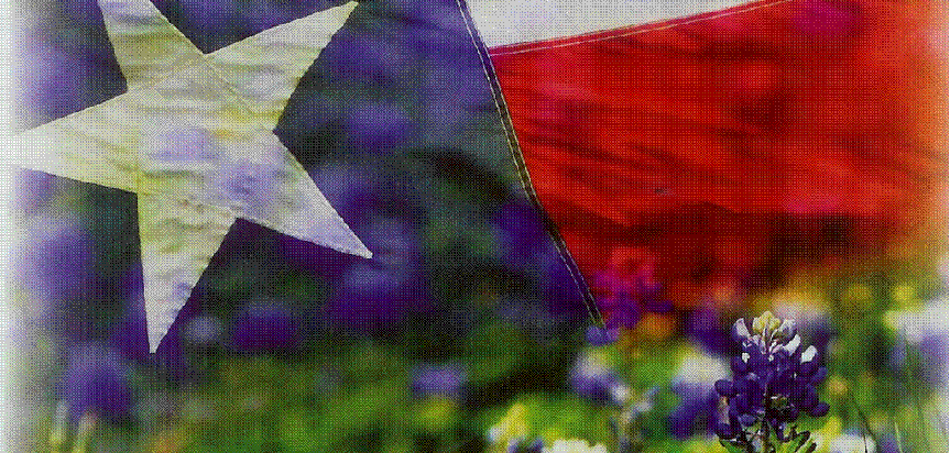 Donlie McMullin Realty in Copperas Cove, TX (4)