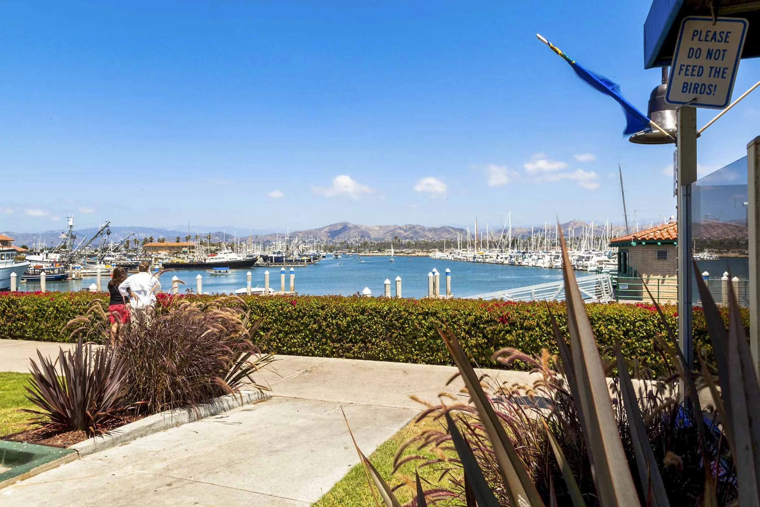 Andria's Seafood in Ventura, CA (6)