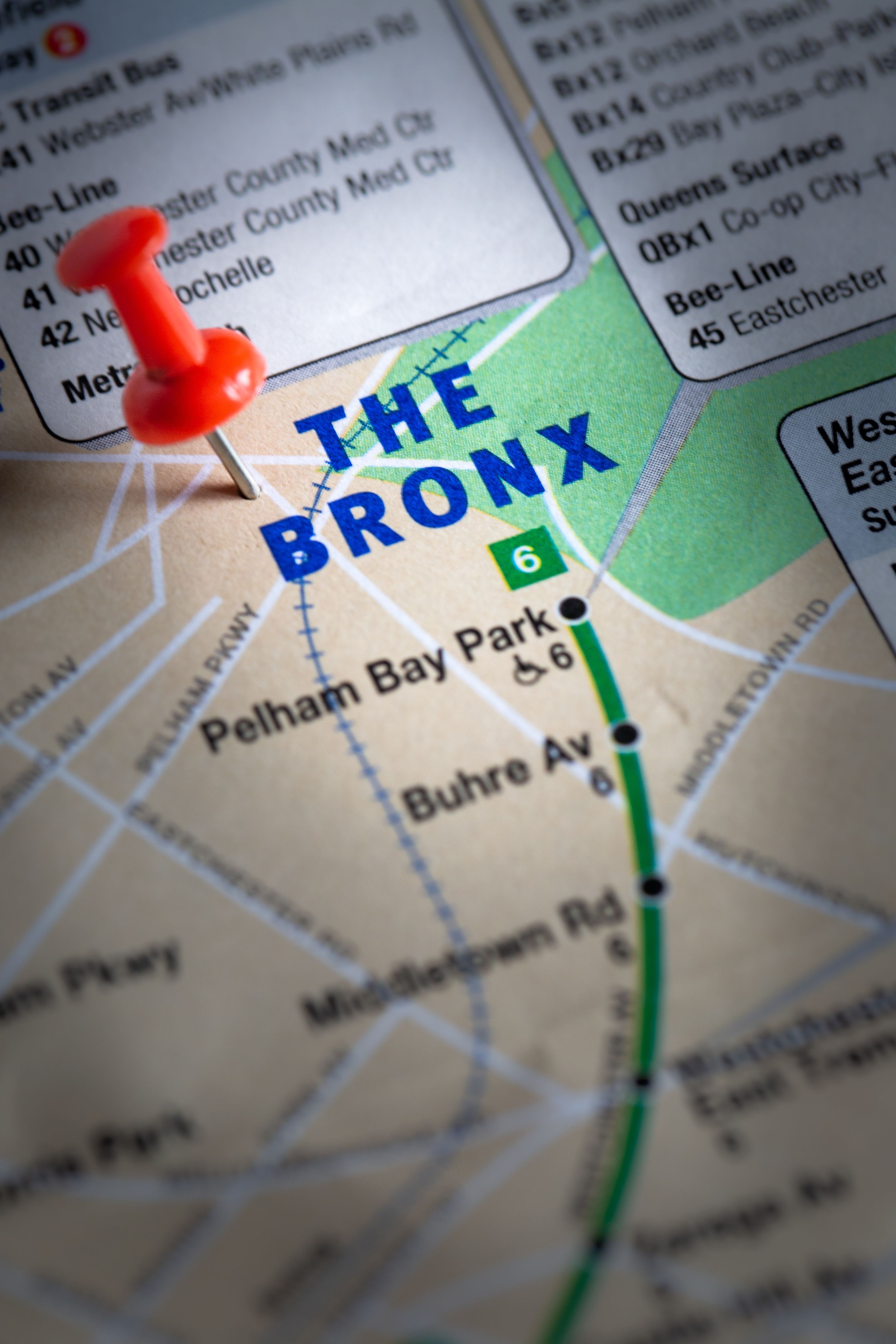 Bronx Local SEO Expert in Brooklyn, NY (2)