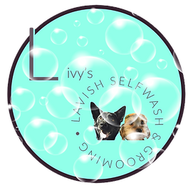 Livy’s Lavish Self Wash & Grooming in Durham, NC (5)