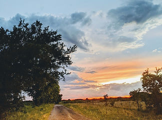 Pettus CPA, PLLC in Bellville, TX (4)