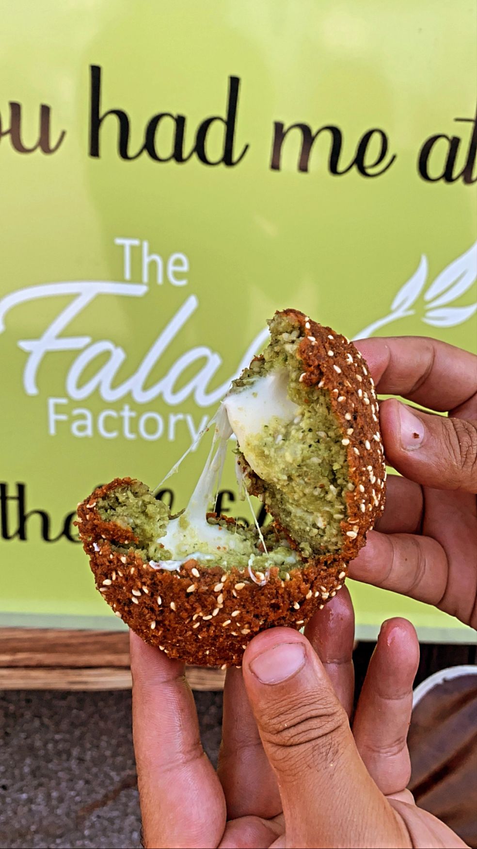 The Falafel Factory Food Truck in Big Creek, CA (5)