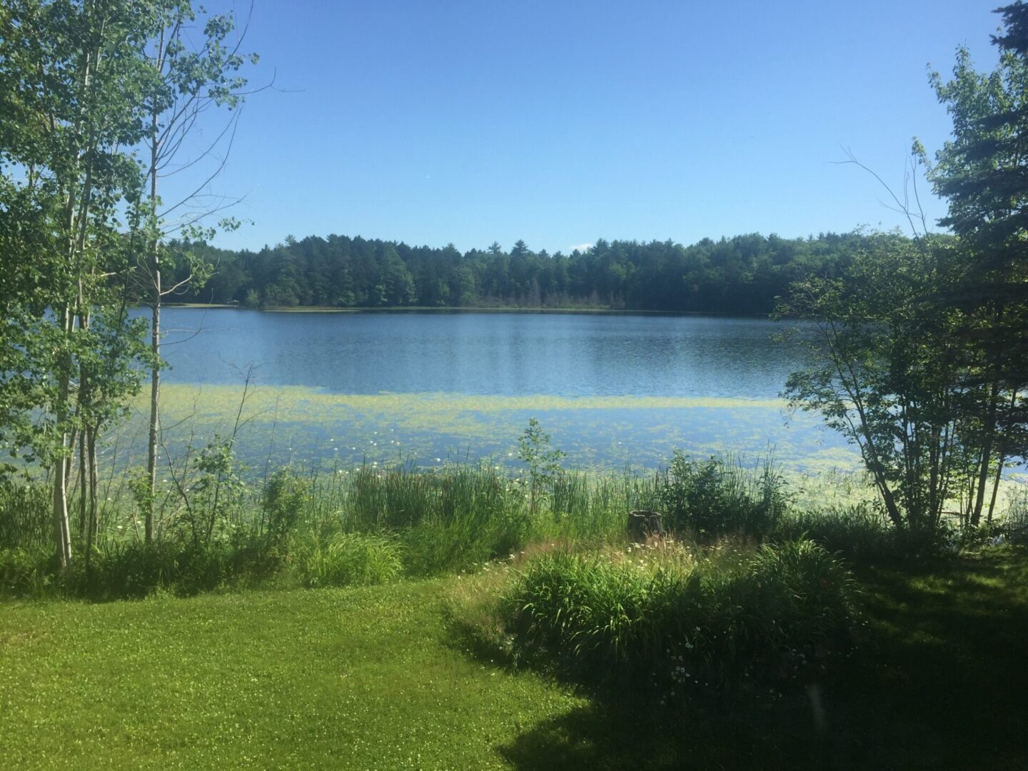 Fireside Supper Club in Rhinelander, WI (4)