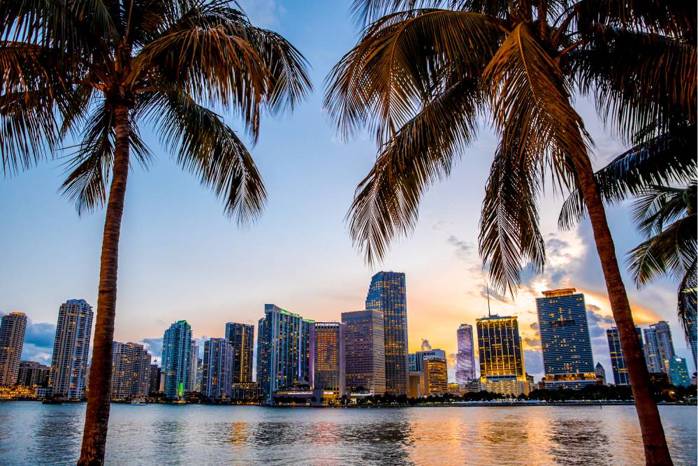Miami Real Estate Agent Bryan Roach in Doral, FL (4)