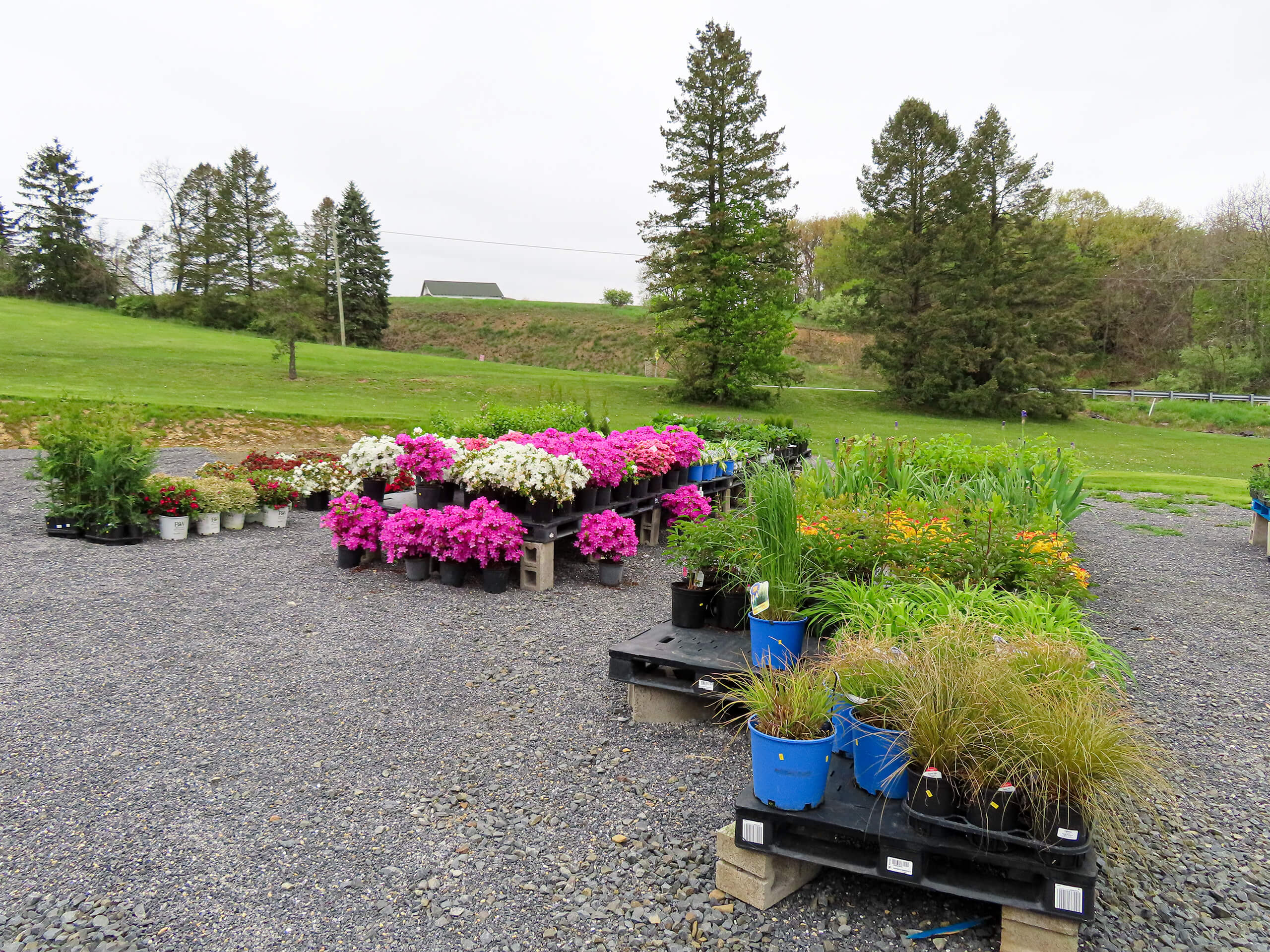 Sensenig's Country Market (FKA: Produce & Greenhouses) in Danville, PA