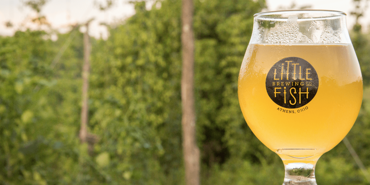 Little Fish Brewing Company in Athens, OH (5)